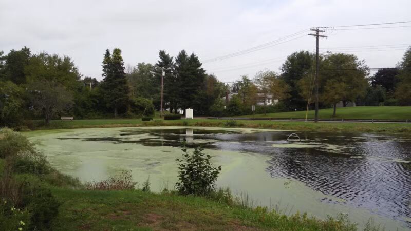 Chapman-Sinoway - North Haven, CT