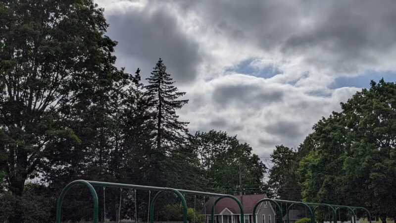 Forest Grove Park - North Haven, CT