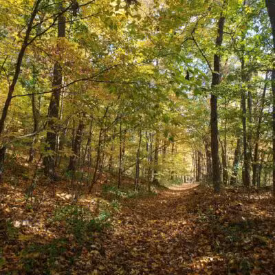 Hansen Park - North Haven, CT
