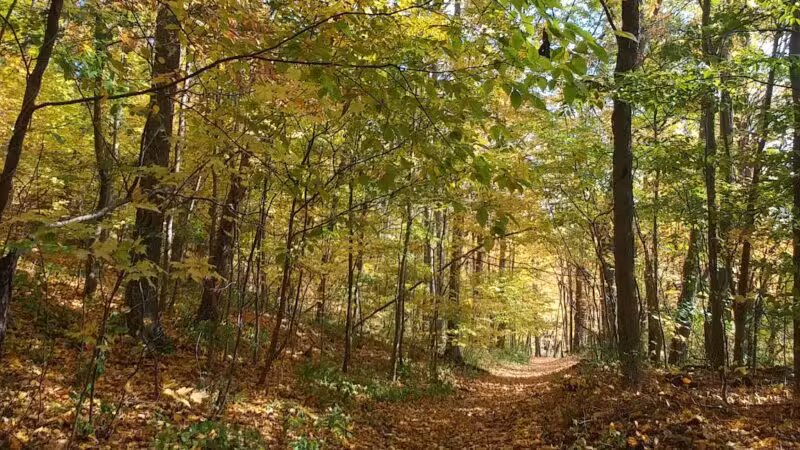 Hansen Park - North Haven, CT