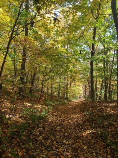 Hansen Park - North Haven, CT