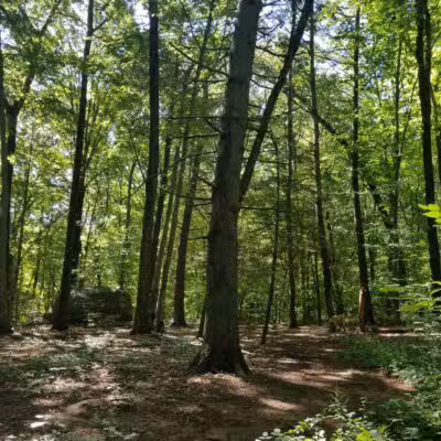 Hansen Park - North Haven, CT