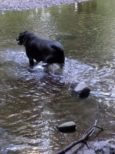 Hansen Park - North Haven, CT