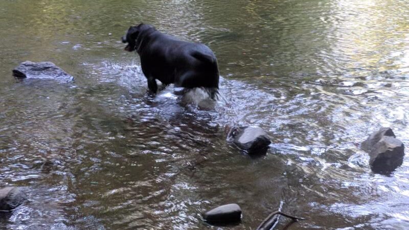 Hansen Park - North Haven, CT