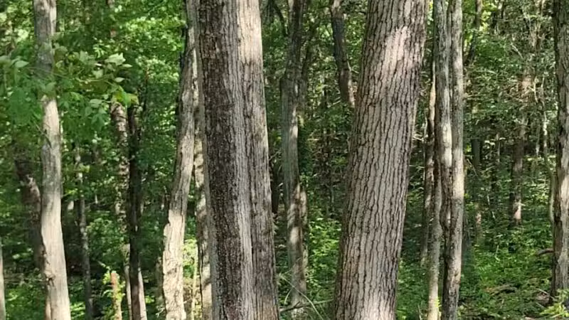 Hansen Park - North Haven, CT