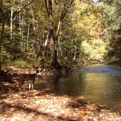 Hansen Park - North Haven, CT