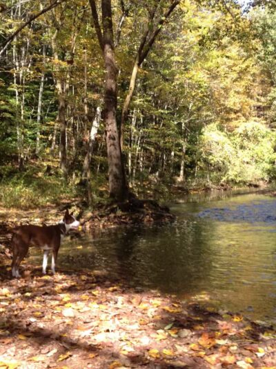 Hansen Park - North Haven, CT