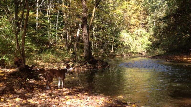 Hansen Park - North Haven, CT