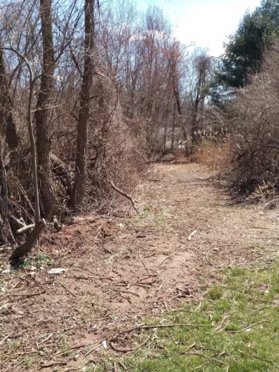 Morning Mist Trail - North Haven, CT