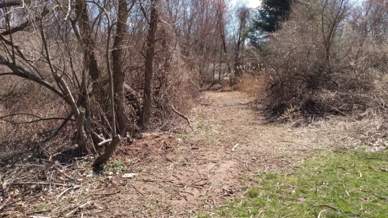 Morning Mist Trail - North Haven, CT