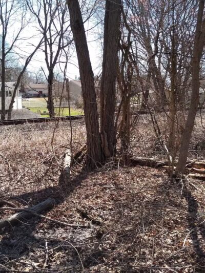 Morning Mist Trail - North Haven, CT