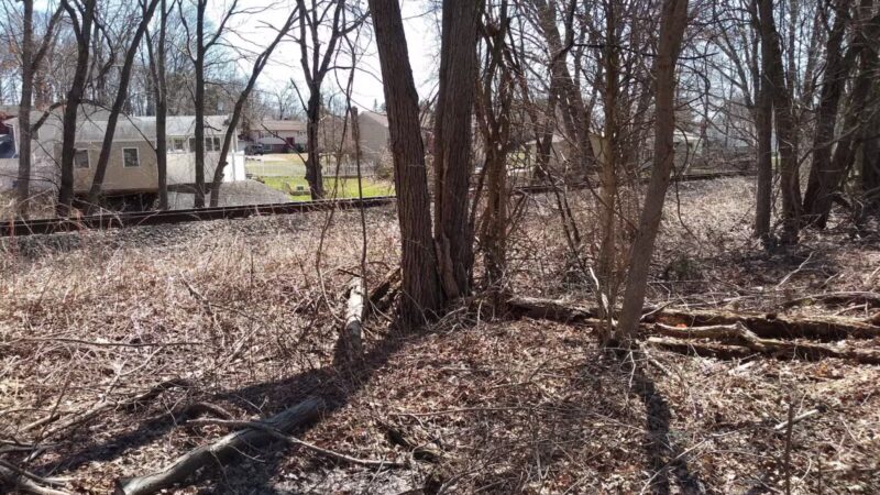 Morning Mist Trail - North Haven, CT