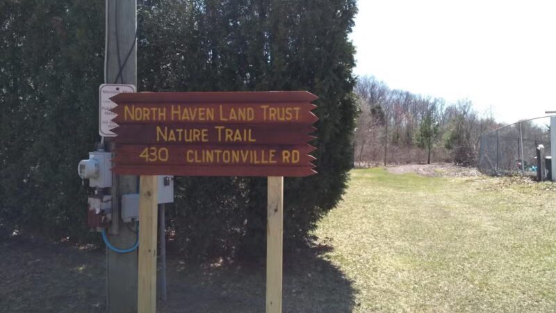 Morning Mist Trail - North Haven, CT