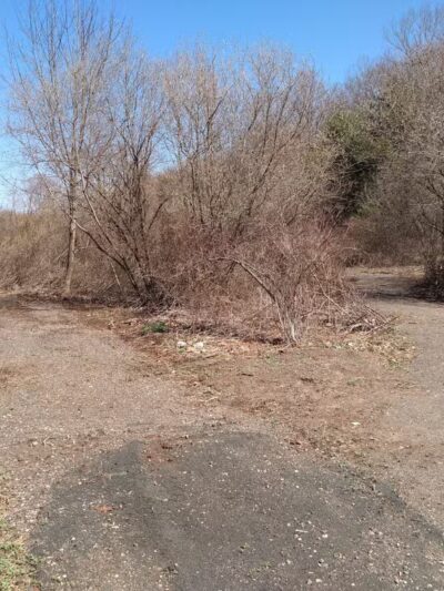 Morning Mist Trail - North Haven, CT