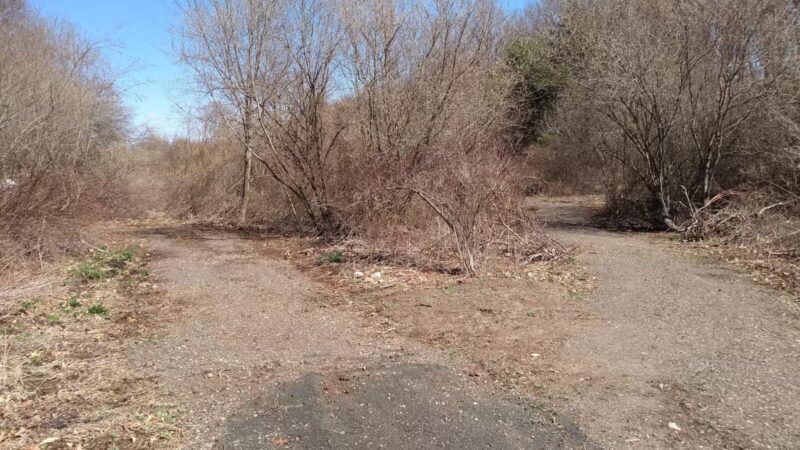 Morning Mist Trail - North Haven, CT