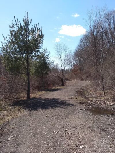 Morning Mist Trail - North Haven, CT
