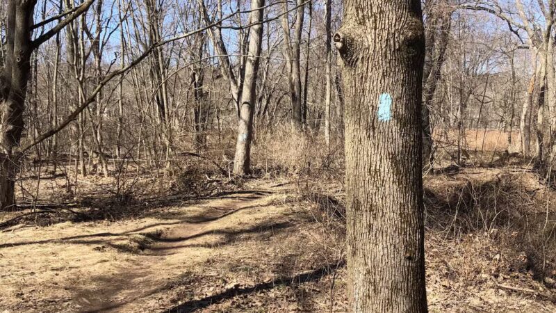 Quinnipiac River State Park - North Haven, CT