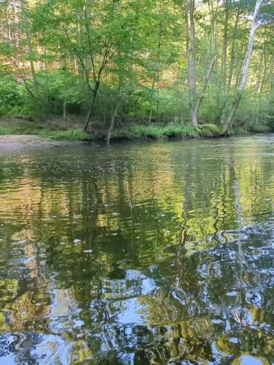 Quinnipiac River State Park - North Haven, CT