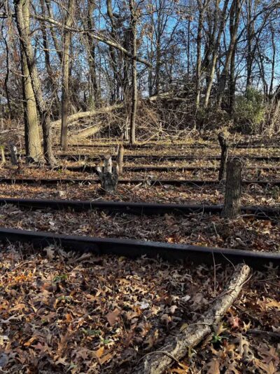 Tidal Marsh Trail - North Haven, CT