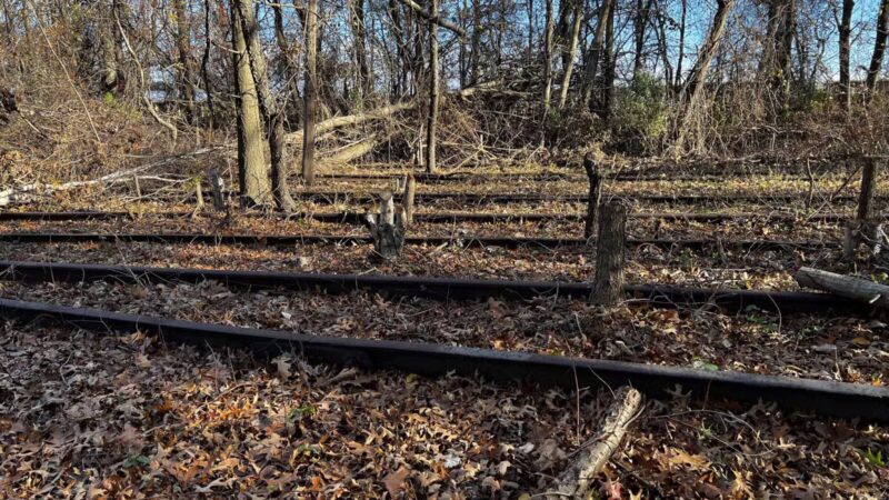 Tidal Marsh Trail - North Haven, CT