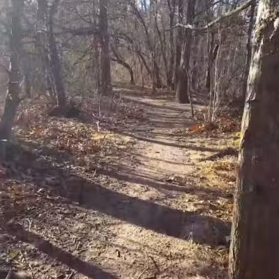 Tidal Marsh Trail - North Haven, CT