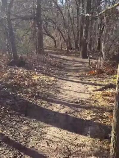 Tidal Marsh Trail - North Haven, CT