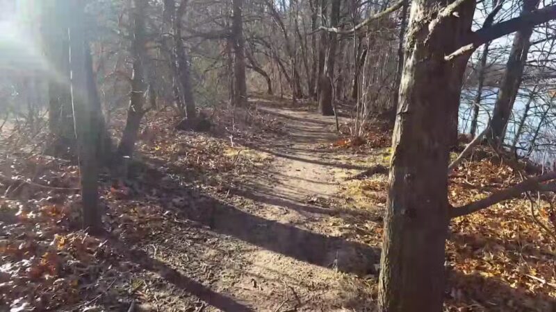 Tidal Marsh Trail - North Haven, CT