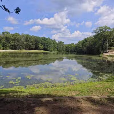 Wharton Brook State Park - North Haven, CT