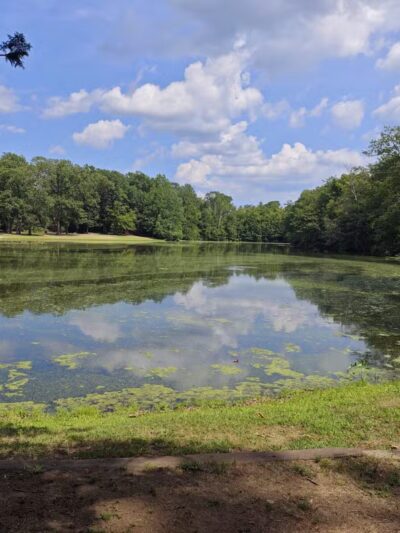 Wharton Brook State Park - North Haven, CT