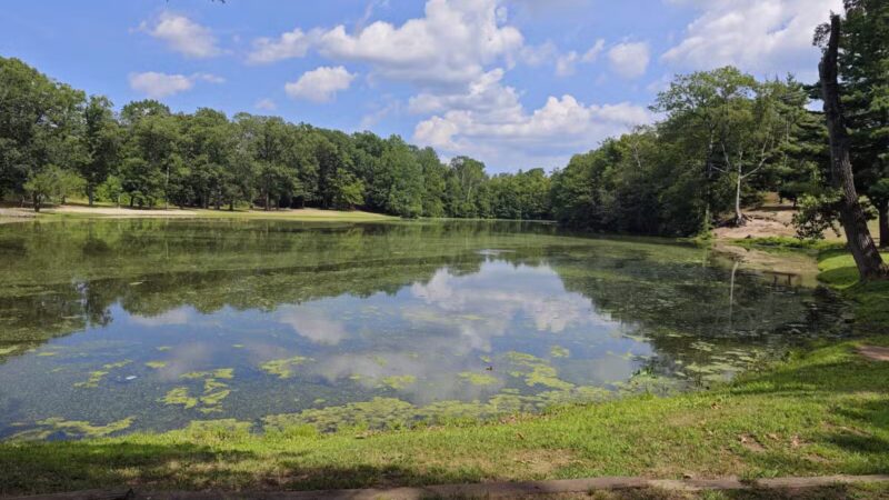Wharton Brook State Park - North Haven, CT