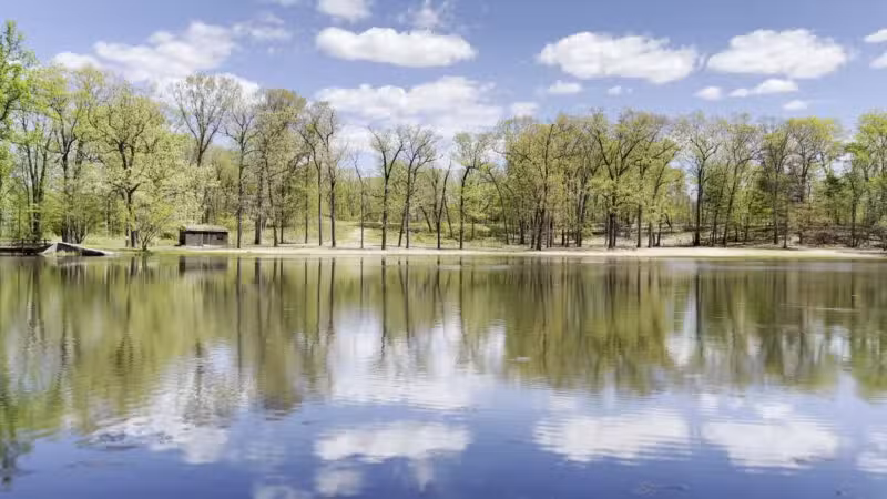 Wharton Brook State Park - North Haven, CT