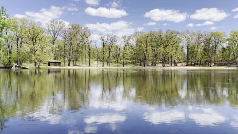 Wharton Brook State Park - North Haven, CT