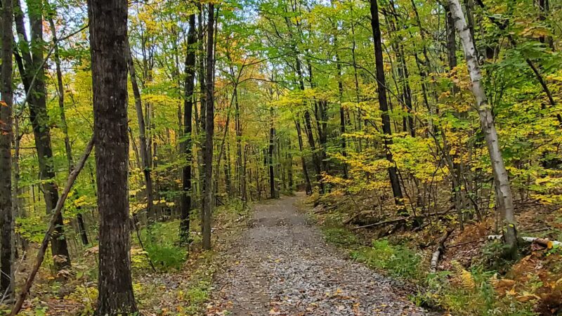 Table Rock Trail - North Walpole, NH