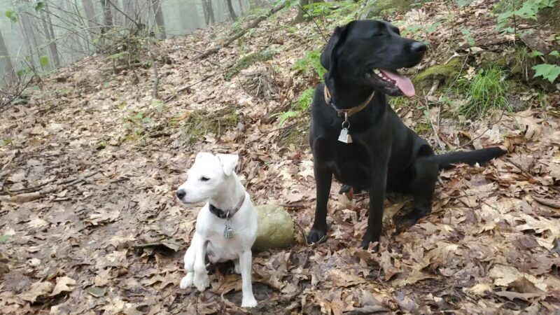 Table Rock Trail - North Walpole, NH