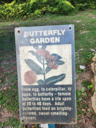 Clear Creek Park - Norton, VA