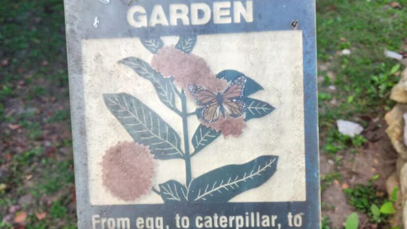 Clear Creek Park - Norton, VA