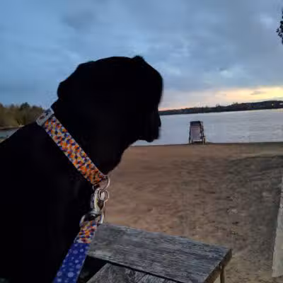 Norwood Recreation Pavilion - Norwood, NY