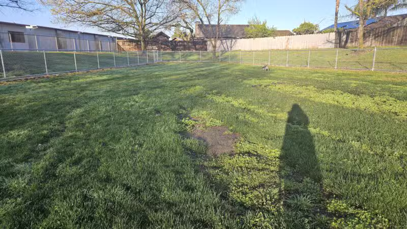 Oakdale Dog Park #2 - Oakdale, CA