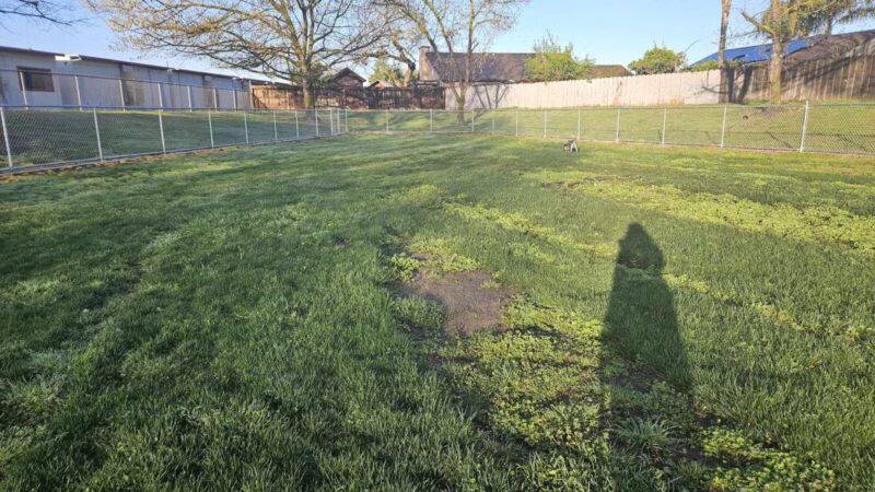 Oakdale Dog Park #2 - Oakdale, CA