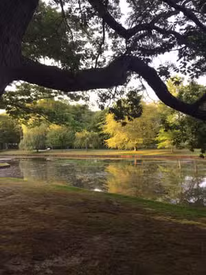 Byron Lake Park - Oakdale, NY