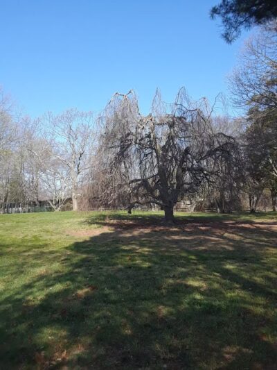 Timber Point County Park - Oakdale, NY
