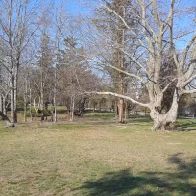 Timber Point County Park - Oakdale, NY