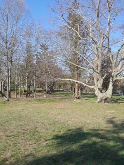 Timber Point County Park - Oakdale, NY