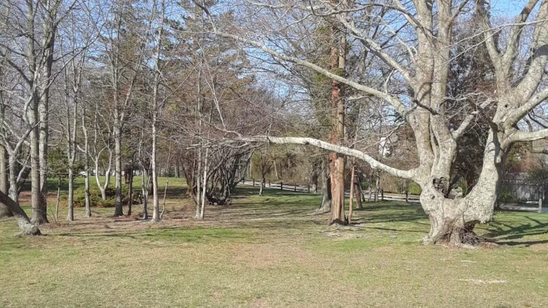 Timber Point County Park - Oakdale, NY
