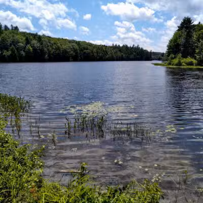 Messalonskee Stream Trail - Oakland, ME
