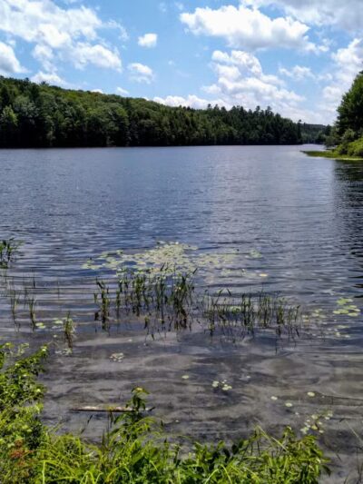 Messalonskee Stream Trail - Oakland, ME