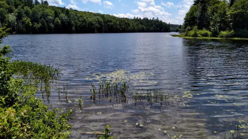 Messalonskee Stream Trail - Oakland, ME