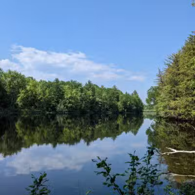 Messalonskee Stream Trail - Oakland, ME