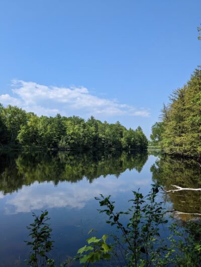 Messalonskee Stream Trail - Oakland, ME