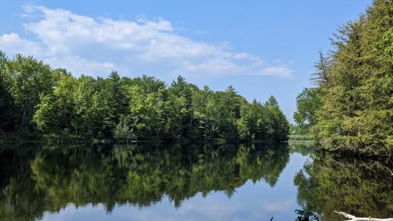Messalonskee Stream Trail - Oakland, ME